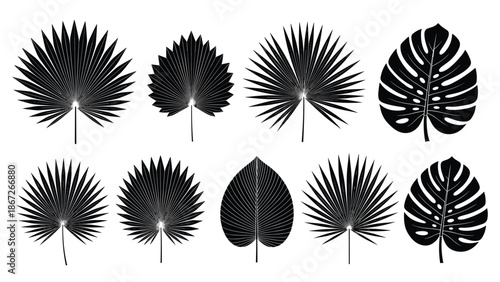 Set of tropical palm leaves silhouettes featuring monstera and fan leaf varieties, black vector botanical illustrations isolated on a clean white background for design.