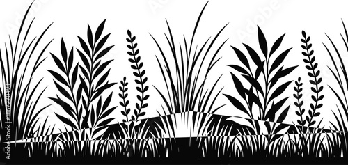 Black wild grass silhouettes bundle, cattail reed collection, meadow plant icons, botanical vector elements, fern leaf foliage, swamp vegetation, nature garden