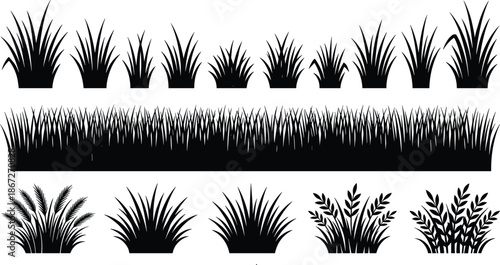 Black grass silhouette set, vector meadow shrubs, garden plant borders, botanical weed icons, landscape nature elements, outdoor field tufts, herbal floral collection.