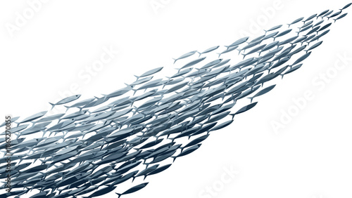 Dynamic swarm of fish in motion: elegant school of silver marine life