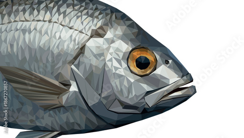 Geometric fish close-up in low poly art style against white background