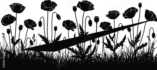 Black poppy flower field silhouette with wild grass and floral buds isolated on white background for decorative nature border designs
