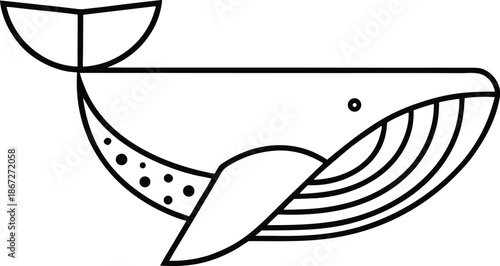 whale matriarch archive line art vector illustration on transparent background