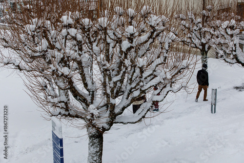 A snowy winter scene featur...