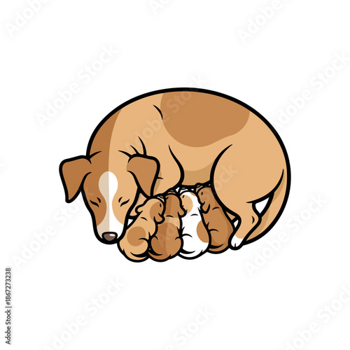 Mother dog nursing her adorable newborn puppies.