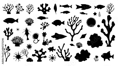 Marine fauna and flora silhouette bundle in a black flat vector illustration style with precise lines and minimal details, set against a clean and crisp white background that provides high contrast to
