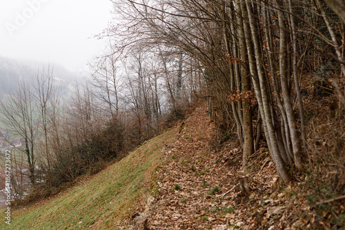 Scenic landscape of a path ...