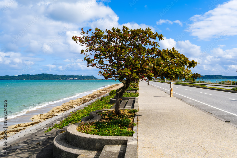 Naklejka premium 沖縄で見つけた南国の豊かな自然と文化を感じる風景