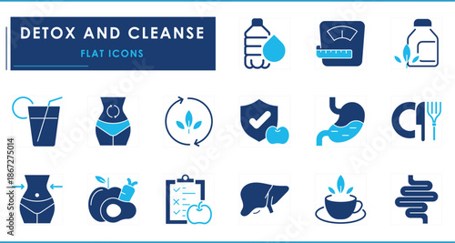 A set of flat icons related to Detox and Cleanse. Stomach, intestine, green, herbal, diet, water, routine, and so on.
