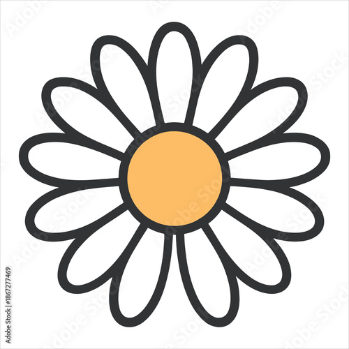 daisy flower vector illustration