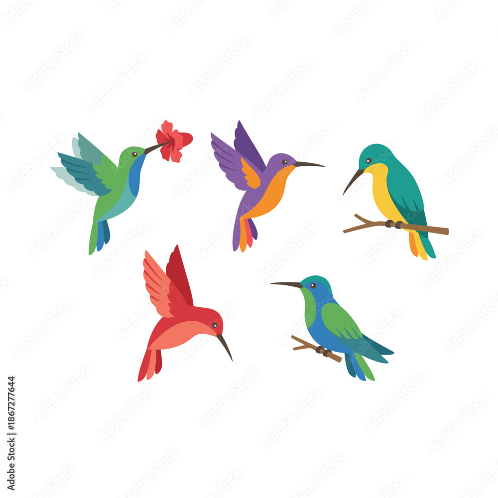 Obraz premium Hummingbirds in Flight Colorful.