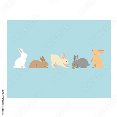 Rabbits in a row.