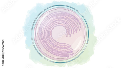 Microbiological cell culture in a petri dish