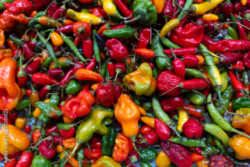 red and green chili peppers