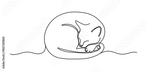 Sleeping cat continuous line art drawing peaceful minimalist animal illustration