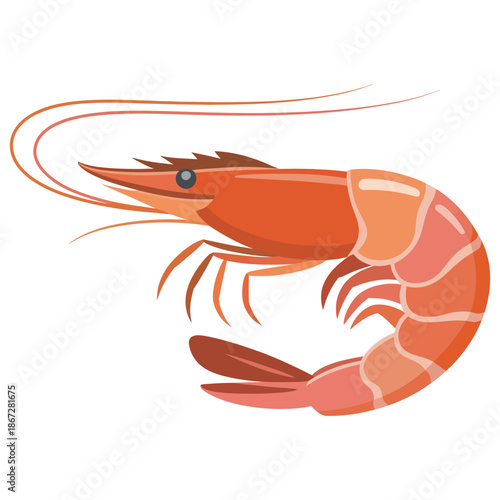shrimp on white background