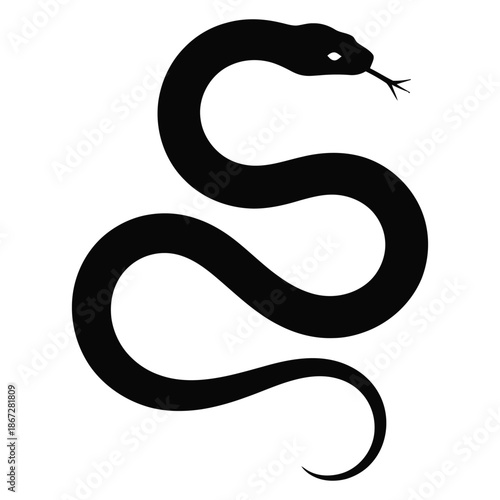 black and white snake