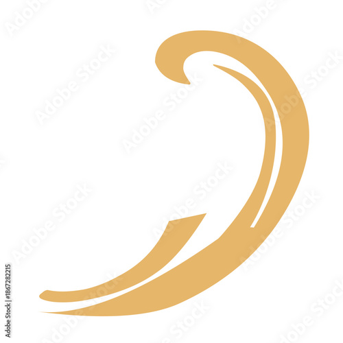 Golden Flourishes calligraphic vector