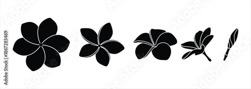 Set of stylized tropical flower illustrations in black and white
