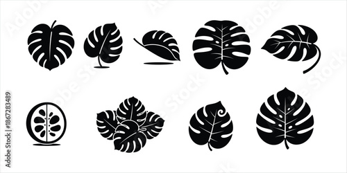 Diverse Tropical Leaf Silhouette Vector Collection for Nature-Inspired Graphic Design Projects