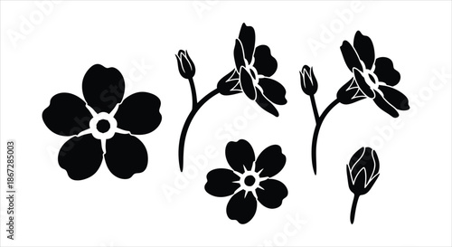 Elegant Botanical Silhouettes Delicate Forget-Me-Not Flowers and Buds Vector Collection