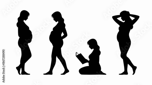 a visual representation of a woman s body through pregnancy stages depicting silhouette forms from early to late gestation and motherhood high quality professional detailed modern