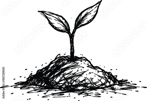 Black and white hand drawn sprout seedling growing from soil Doodle sketch illustration