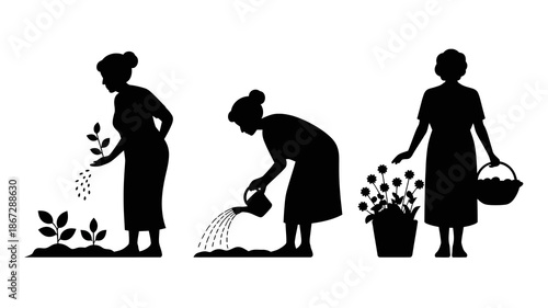 a simple black silhouette depicts three elderly women engaged in gardening activities including planting seeds watering flowers and carrying baskets high quality professional detailed modern elegant