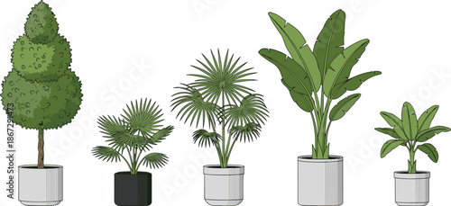 Indoor potted plant collection illustration featuring tropical houseplants, decorative greenery, modern interior decor elements isolated on white background