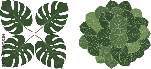 Tropical monstera leaf illustration set with layered round green foliage elements, flat botanical plant shapes isolated on white background