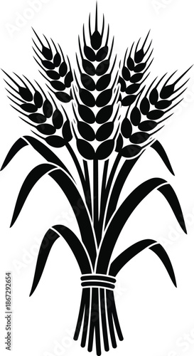 Black wheat stalks tied in a bundle grain agriculture