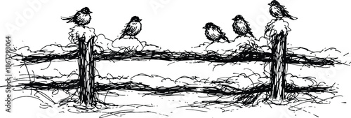 Hand drawn sketch of small birds perched on a rustic fence line in winter black and white vector illustration