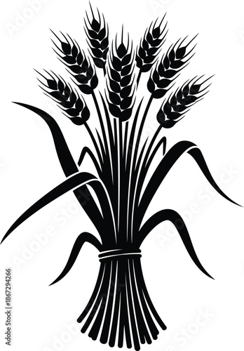 Black wheat stalks tied with a band grain agriculture