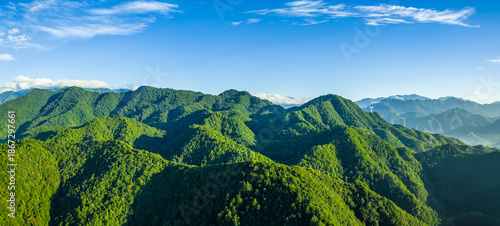 Wallpaper Mural Panoramic view of the green mountain range and forest natural landscape in the morning Torontodigital.ca