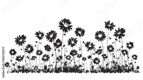 Artistic black and white silhouette of a wild flower field border. Elegant graphic illustration of spring meadow flora for design.