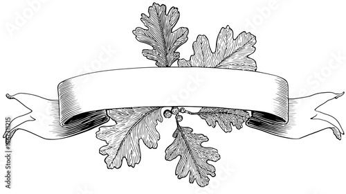 Elegant Hand-Drawn Vintage Oak Leaves and Acorns Banner Scroll Illustration with Blank Copy Space, Black and White Engraving