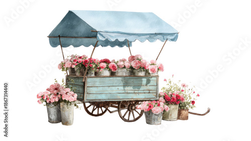 Vintage wooden flower cart filled with pink roses in metal buckets beneath blue canopy isolated on white background
