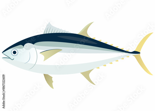 Illustration of a bluefin tuna showcasing its streamlined body and vibrant colors