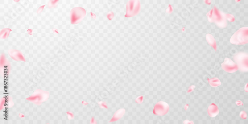 Beautiful flower petals background vector illustration.