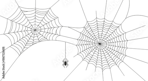 Black and white illustration of intricate spider webs with a small spider, hand-drawn in a simple line art style, perfect for Halloween decorations or nature designs.