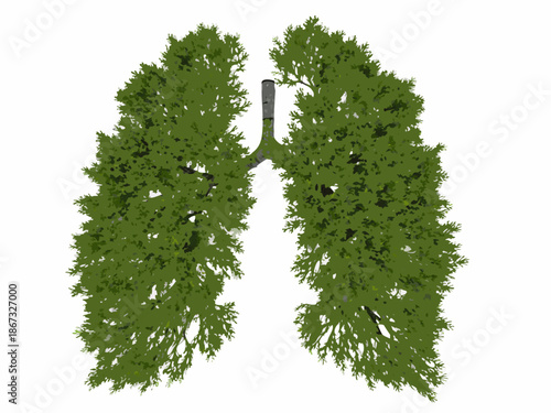 A tree shaped like human lungs symbolizing the connection between nature and health
