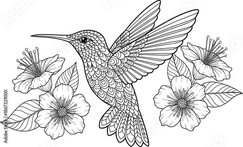 Hummingbird line art, black and white, floral illustration, nature drawing, decorative bird, intricate wings, leaves, flowers, coloring page, elegant design