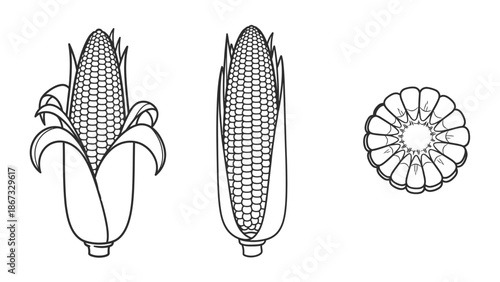 A black and white illustration of corn on the cob and a corn flower