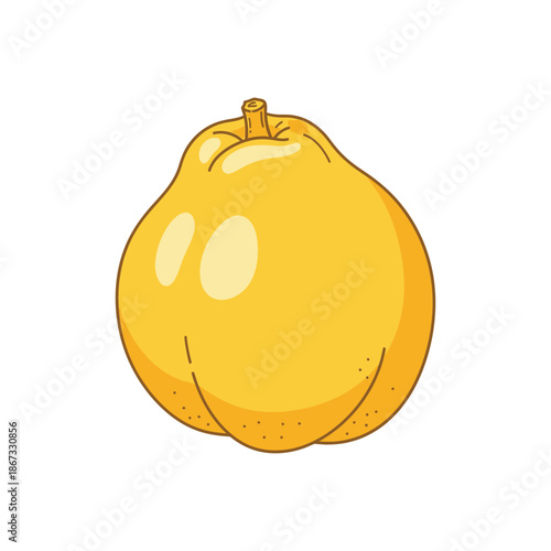 Yellow quince fruit illustration isolated on white background.