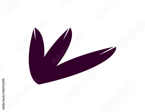 Feather illustration image 