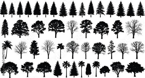 Black tree silhouettes collection, forest pine oak palm and leafless branches set, outdoor nature elements, cad drawing flat vector illustration, landscape design.
