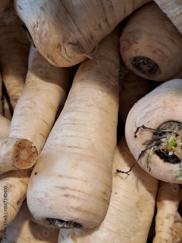 pile of chopped firewood