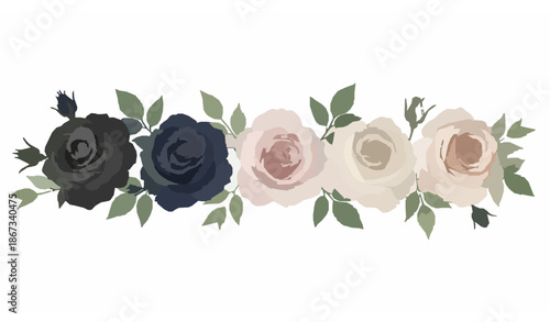 Elegant neutral watercolor rose and foliage vector collection in black navy blush and cream
