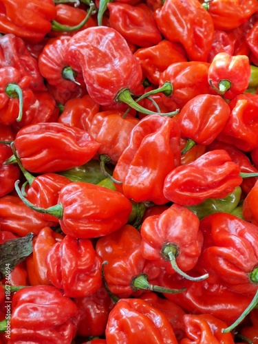 red hot chili peppers