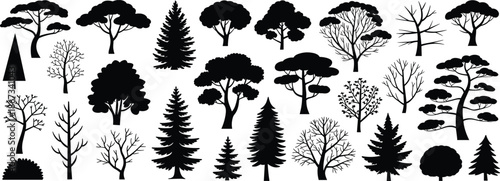 Tree silhouettes collection, forest nature icons set, deciduous evergreen plants, black vector illustration isolated white background design, landscape graphic elements